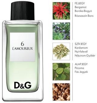 Dolce & Gabbana D&G 6 L' Amoureux f�rfi parf�m  100ml EDT
