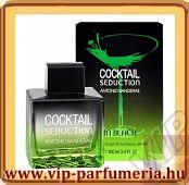 Cocktail Seduction in Black