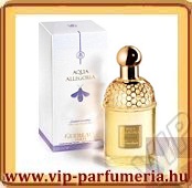 Jasminora